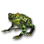 File:Marsh Frog.png
