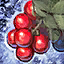 Fresh Winterberry.png