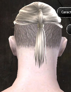 File:Unique human male hair back 7.jpg