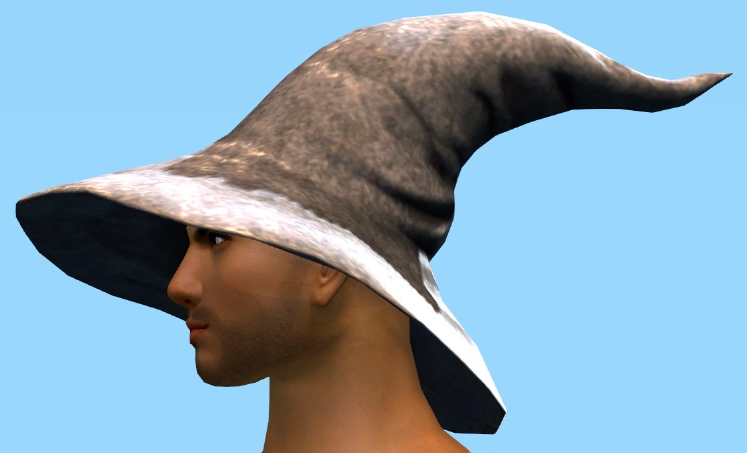 File:Wizard's Hat side.jpg