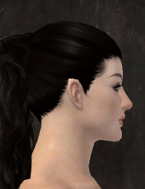 File:Unique norn female face side 6.jpg