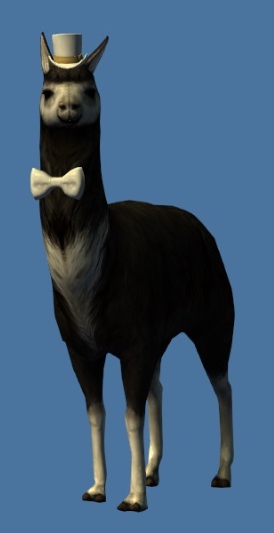 File:Mini Elegant Black Llama.jpg