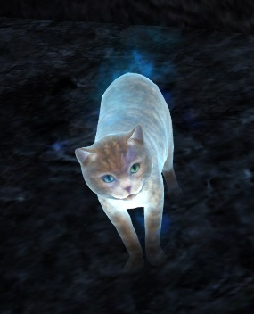 File:Ghostly Cat.jpg