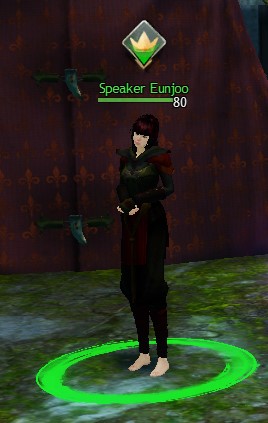 File:Speaker Eunjoo.jpg