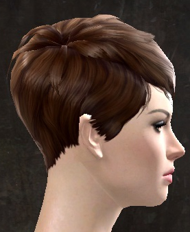 File:Unique human female hair side 15.jpg