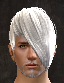 File:Unique human male hair front 10.jpg