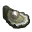 Orrian Oyster.png