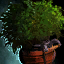 File:Potted Shrub.png
