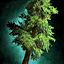 File:Thick Drizzlewood Coast Tree Token.png