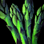 File:Asparagus Spear.png