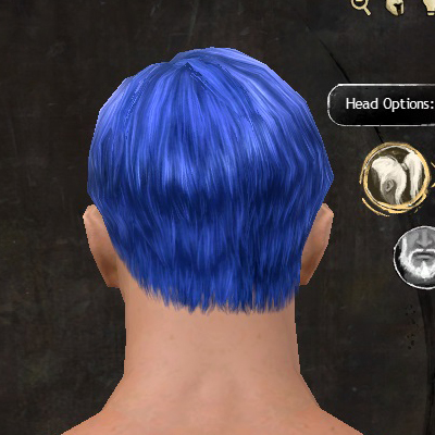 File:Unique human male hair back 1.jpg