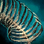File:Primordial Leviathan Rib Cage- Left Curved.png