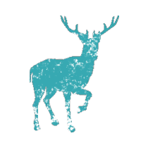 File:Proxemics Lab Stag.png