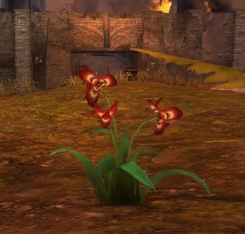 File:Red Iris Flower (object).jpg