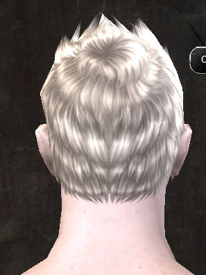 File:Unique human male hair back 9.jpg