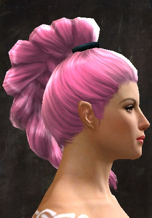 File:Unique norn female hair side 11.jpg