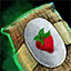 Strawberry Seed Pouch.png