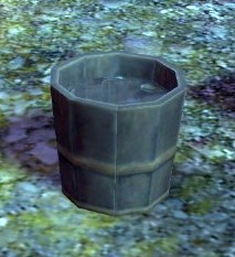 Water Bucket (Blazeridge Steppes).jpg