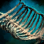 File:Primordial Leviathan Rib Cage- Curved.png
