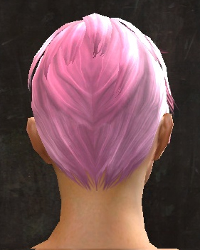 File:Unique norn female hair back 9.jpg