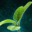 File:Germinate Spinach.png