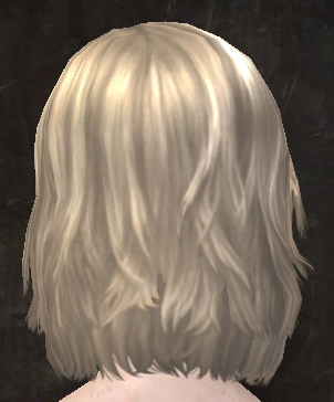 File:Unique human female hair back 1.jpg