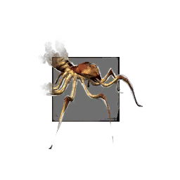 File:Juvenile Cave Spider.png