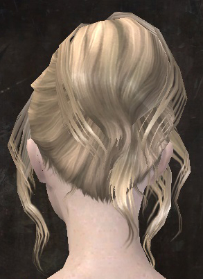 File:Unique human female hair back 9.jpg
