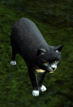 File:Black Cat (alt).jpg