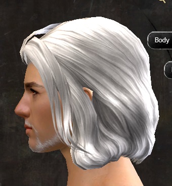 File:Unique human male hair side 11.jpg