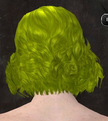 File:Unique norn female hair back 1.jpg