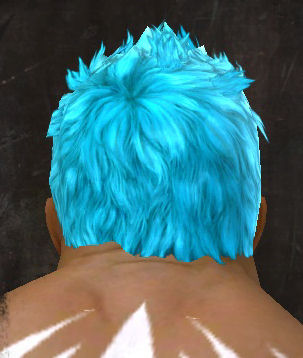 File:Unique norn male hair back 15.jpg