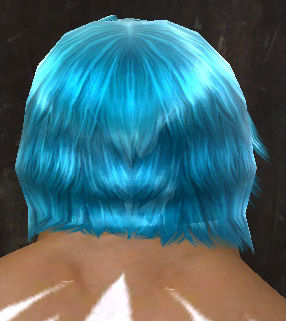 File:Unique norn male hair back 12.jpg
