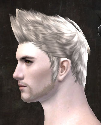 File:Unique human male hair side 9.jpg