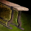 File:Guild Bench.png