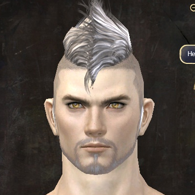File:Unique human male hair front 5.jpg
