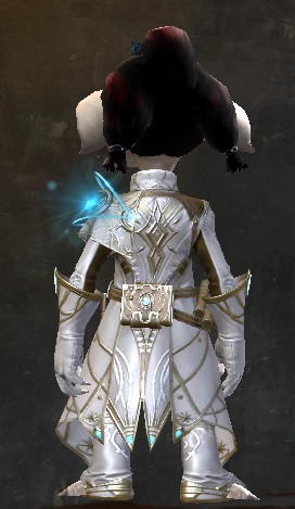File:Astral Scholar Outfit asura male back.jpg