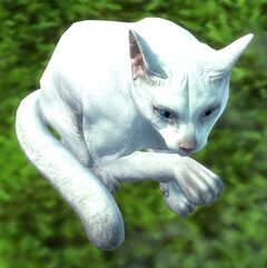 Cat (white).jpg