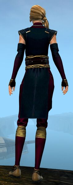 File:Heavy Monastery armor norn female back.jpg