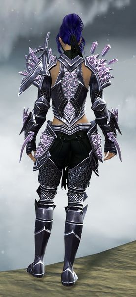 File:Crystal Arbiter Outfit norn female back.jpg