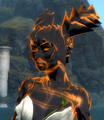 Appearance of the Infusion up close on Sylvari