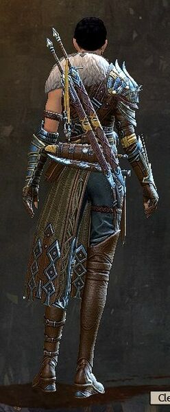 File:Wandering Weapon Master Outfit norn female back.jpg