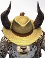 The hat on a charr.