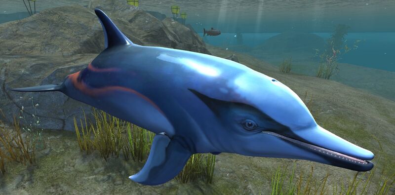 File:Dolphin (Cantha).jpg