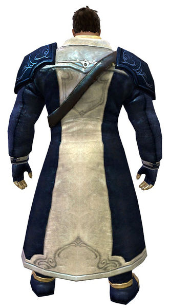 File:Rogue armor norn male back.jpg