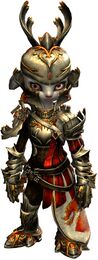 Champion of Tyria Outfit