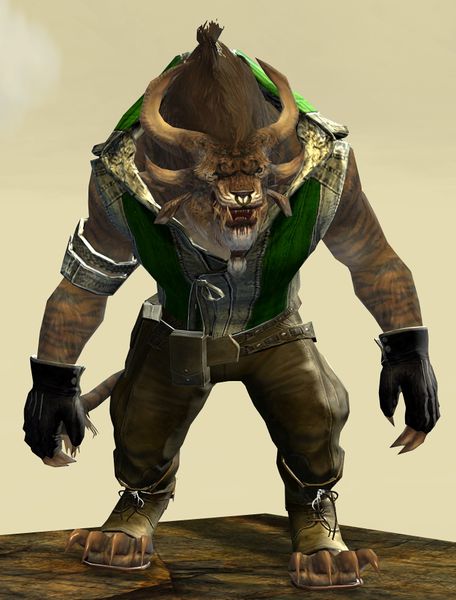 File:Casual Hoodie Clothing Outfit charr male front.jpg