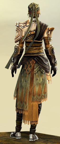 File:Elonian armor (medium) human female back.jpg