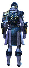 Ascalonian Sentry armor sylvari male back.jpg