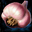 Head of Garlic.png